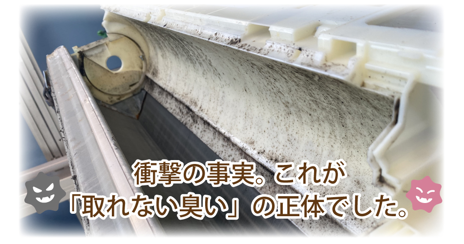 カビだらけのアルミフィン